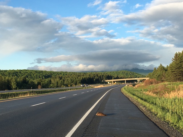 11 Mortalite routiere 11 Mortalite routiere