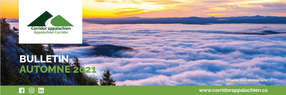 Banniere FR Banniere FR