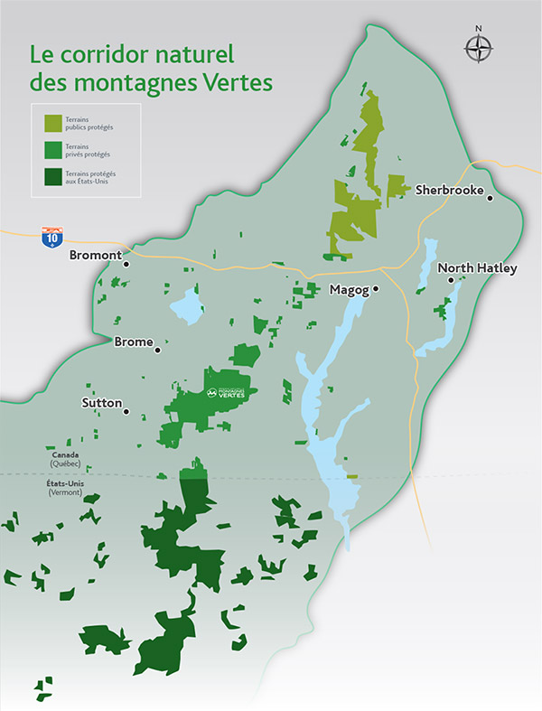 Corridor forestier MV custom 3 Corridor forestier MV custom 3