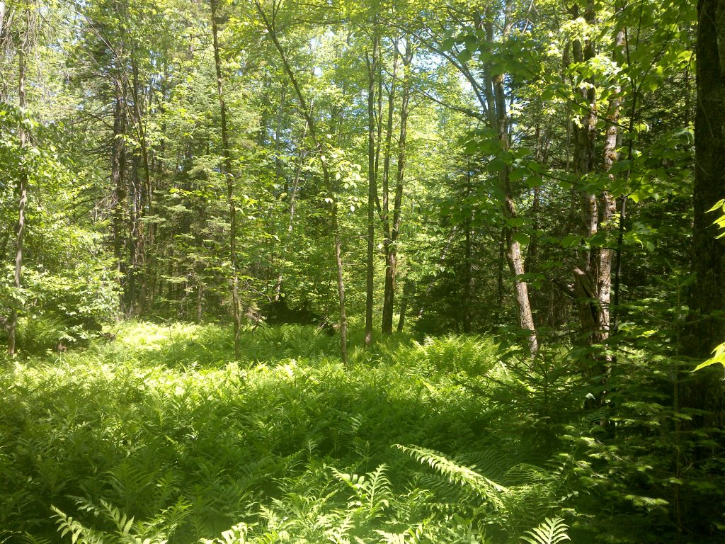 DAGC 1489 1024x768 1