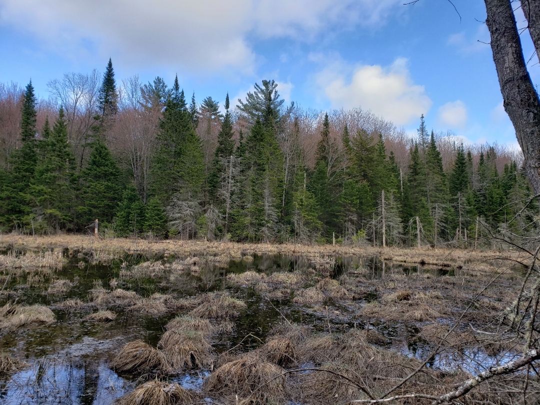 Dandurand cCorridor appalachien Dandurand cCorridor appalachien