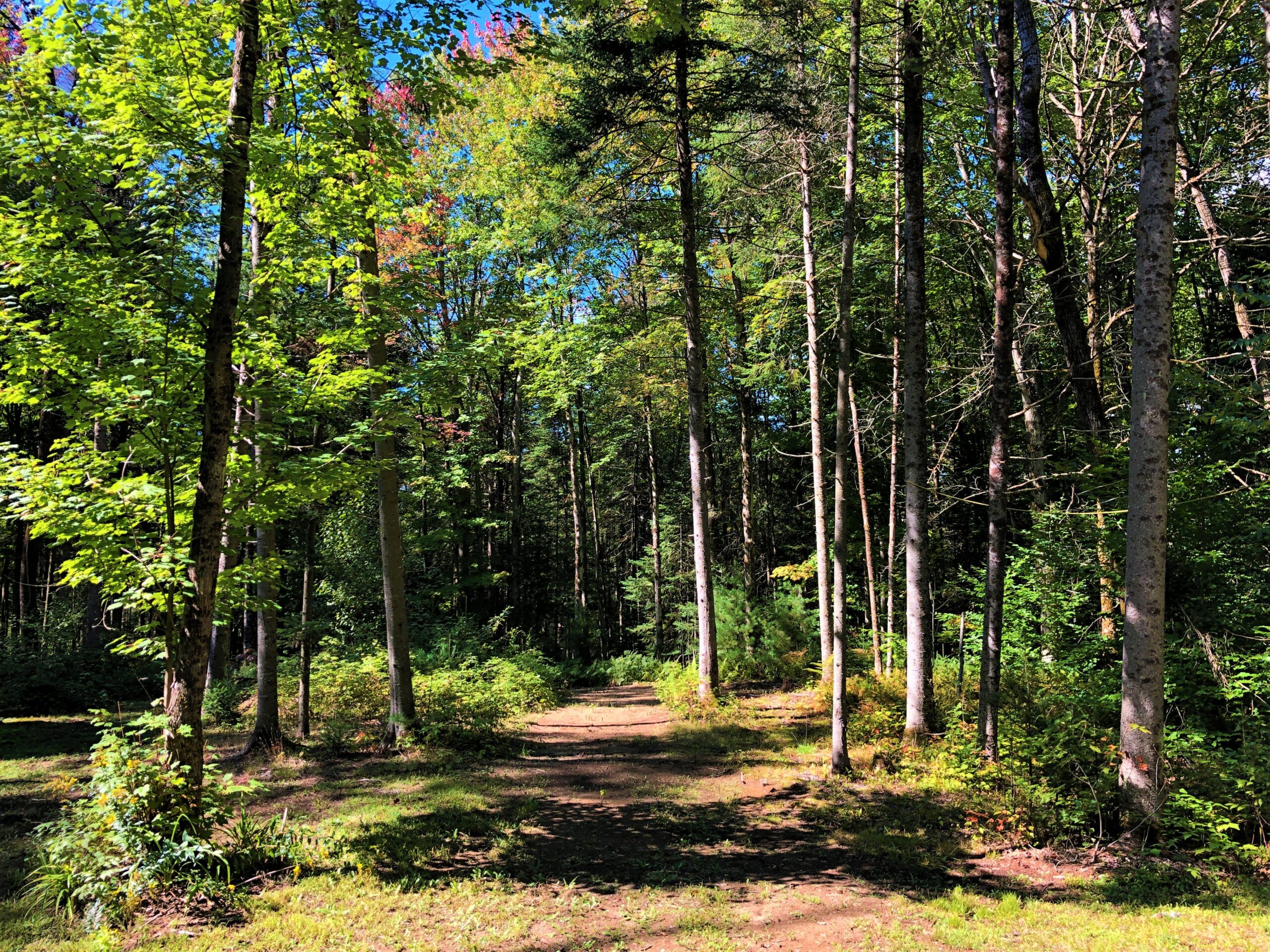 Don Haberl 2 cACA scaled 1 Don Haberl 2 cACA scaled 1