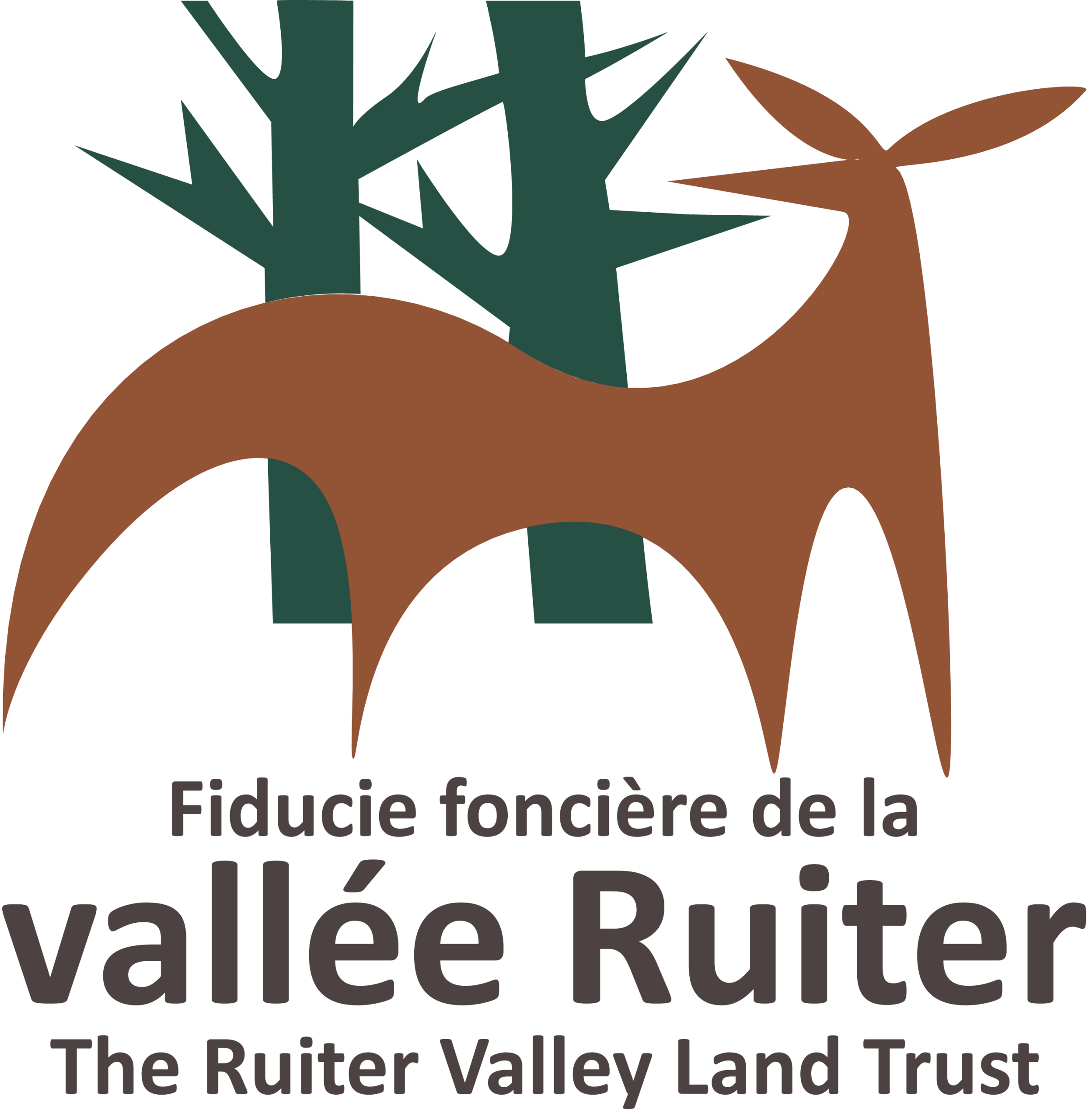 FFVR logo 2015 grand scaled FFVR logo 2015 grand scaled