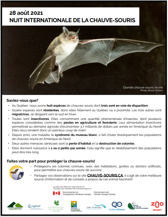Fiche educative chauve souris