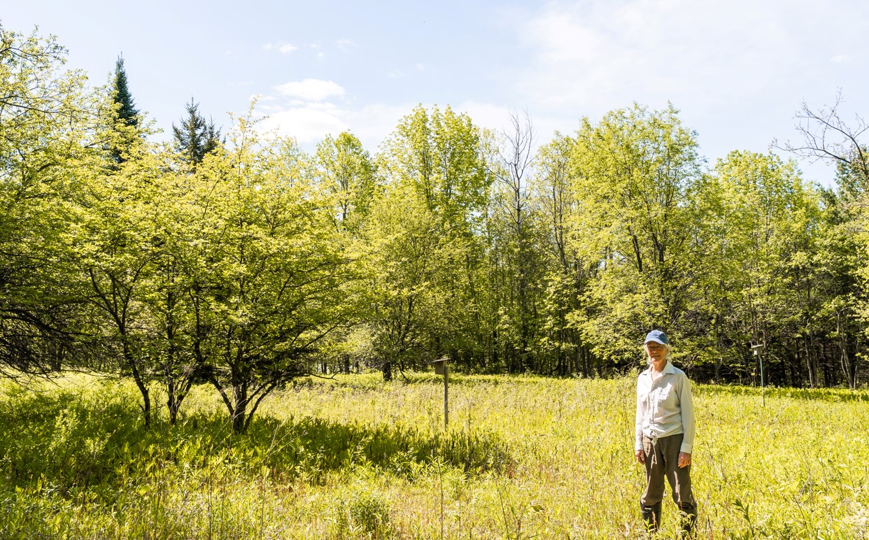 Gail Watt low Gail Watt low