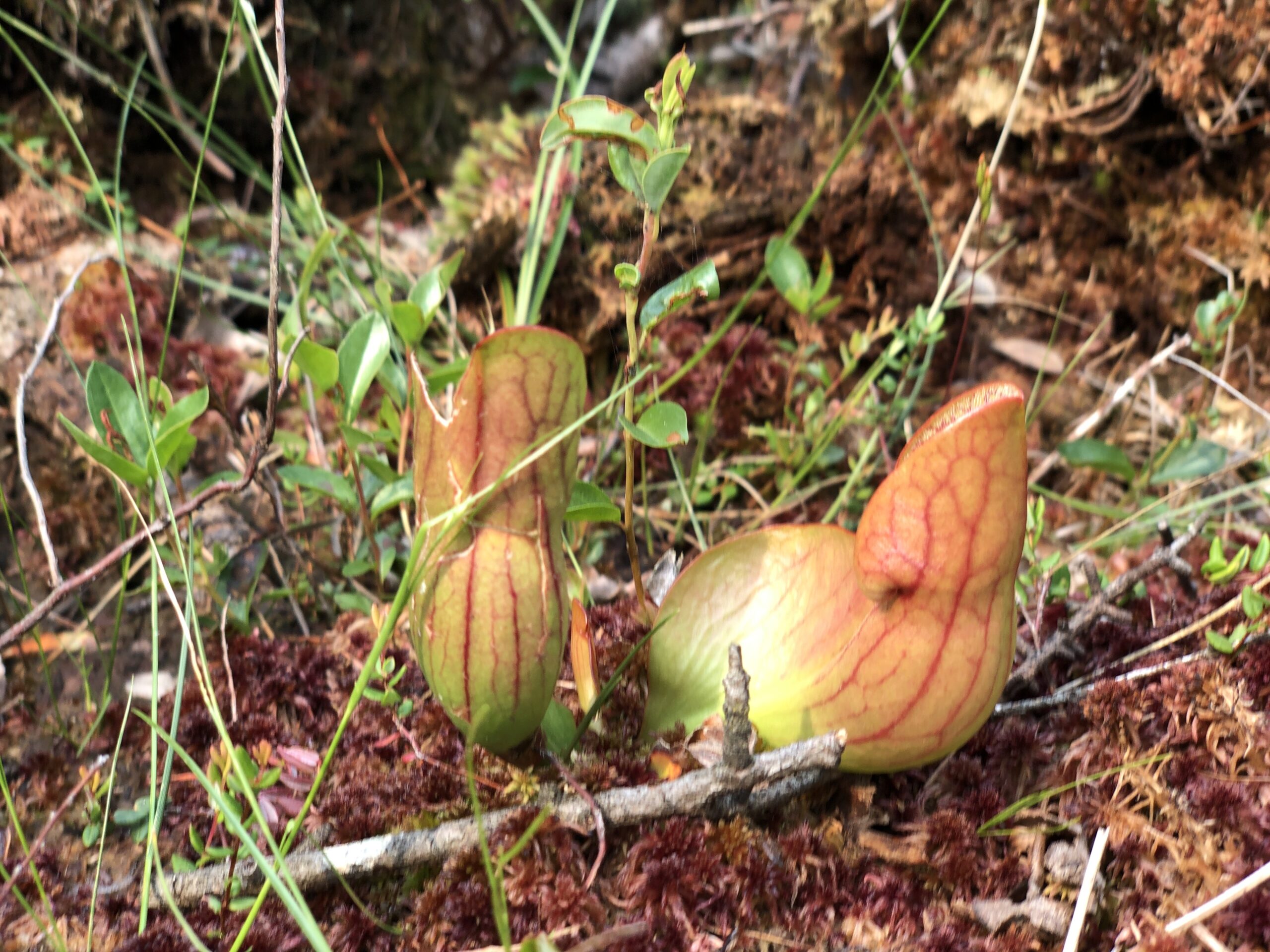 IMG 9496 scaled 1 IMG 9496 scaled 1