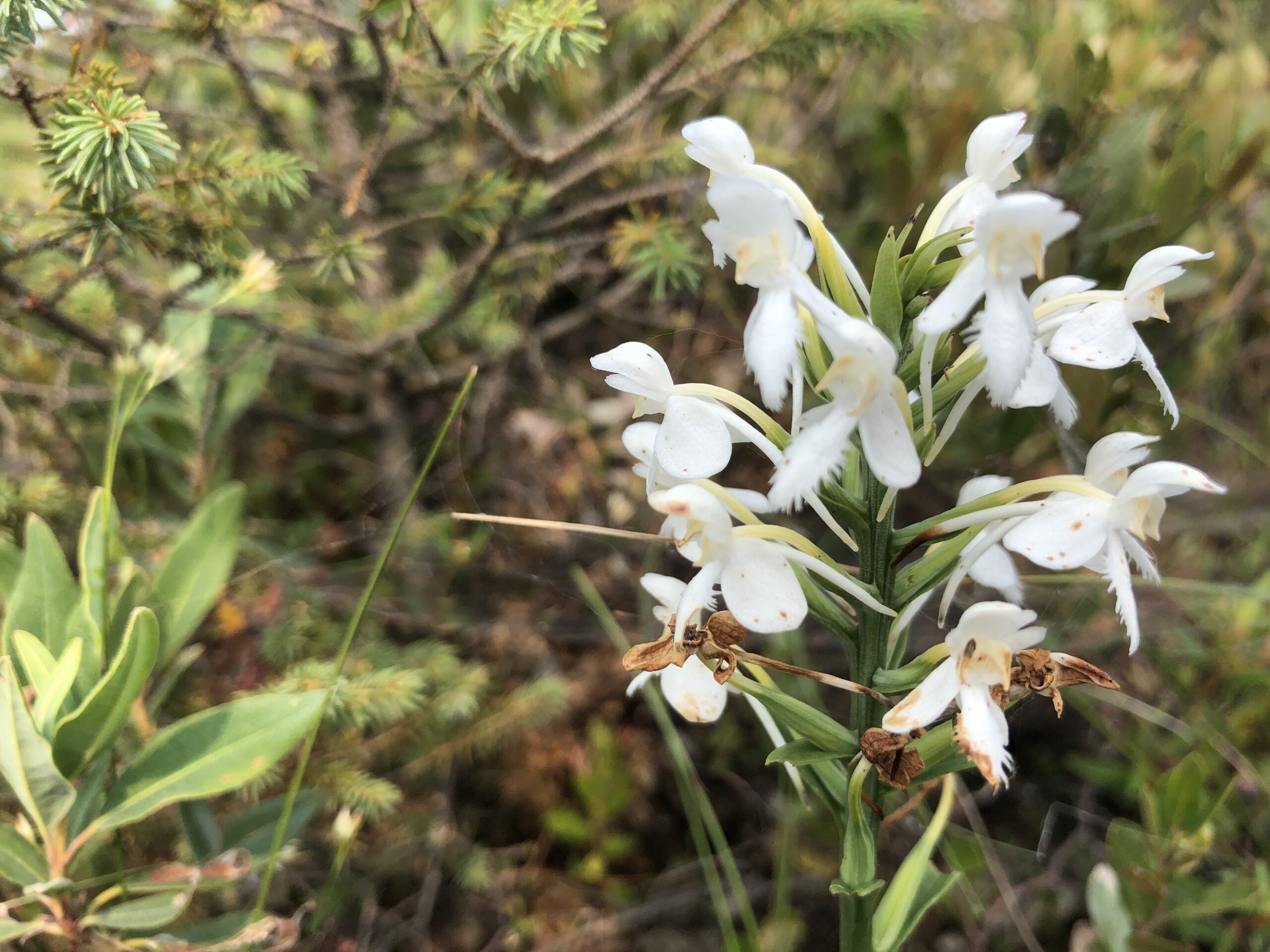 IMG 9519 scaled 1 IMG 9519 scaled 1