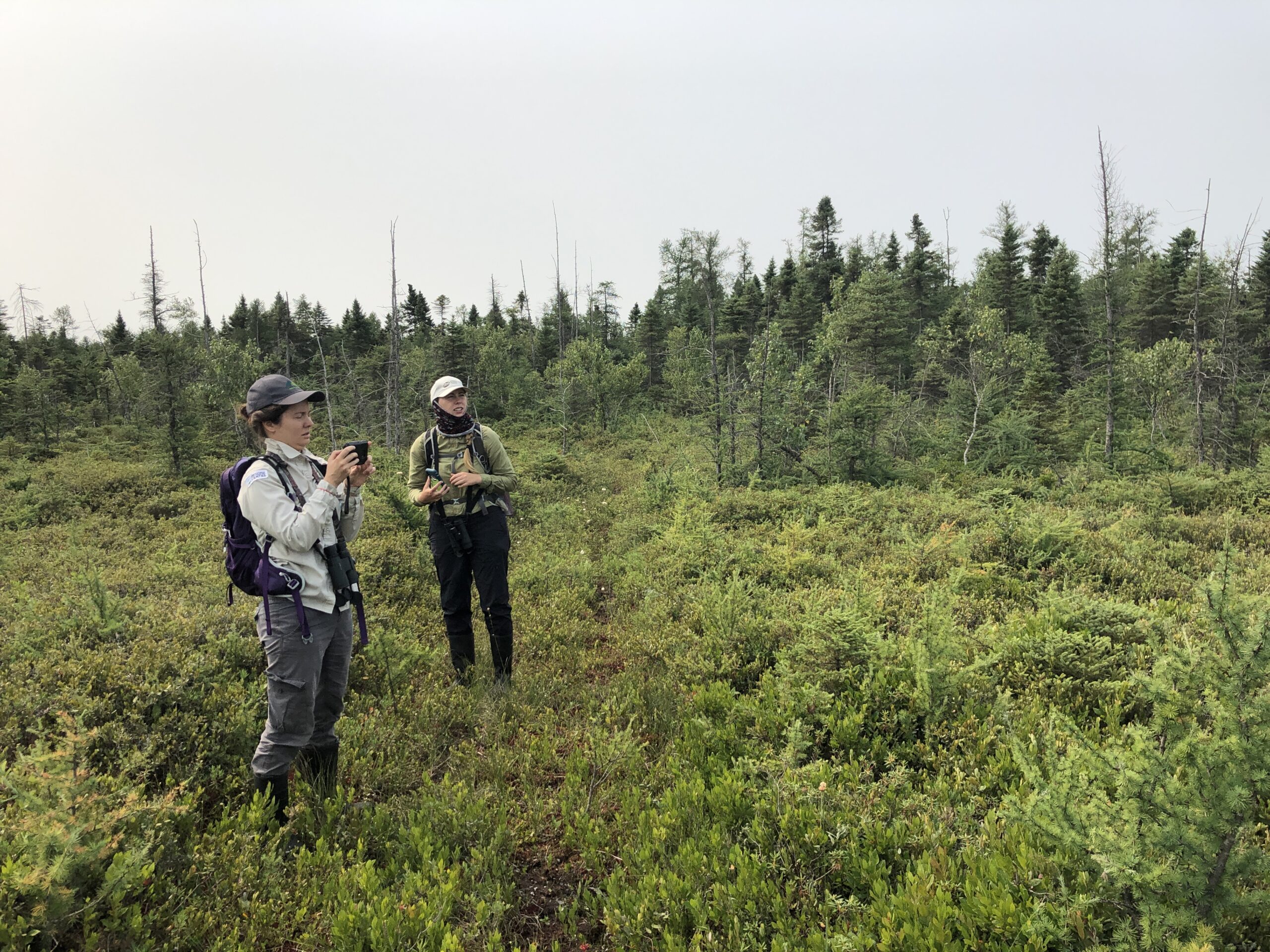 IMG 9521 scaled 1 IMG 9521 scaled 1