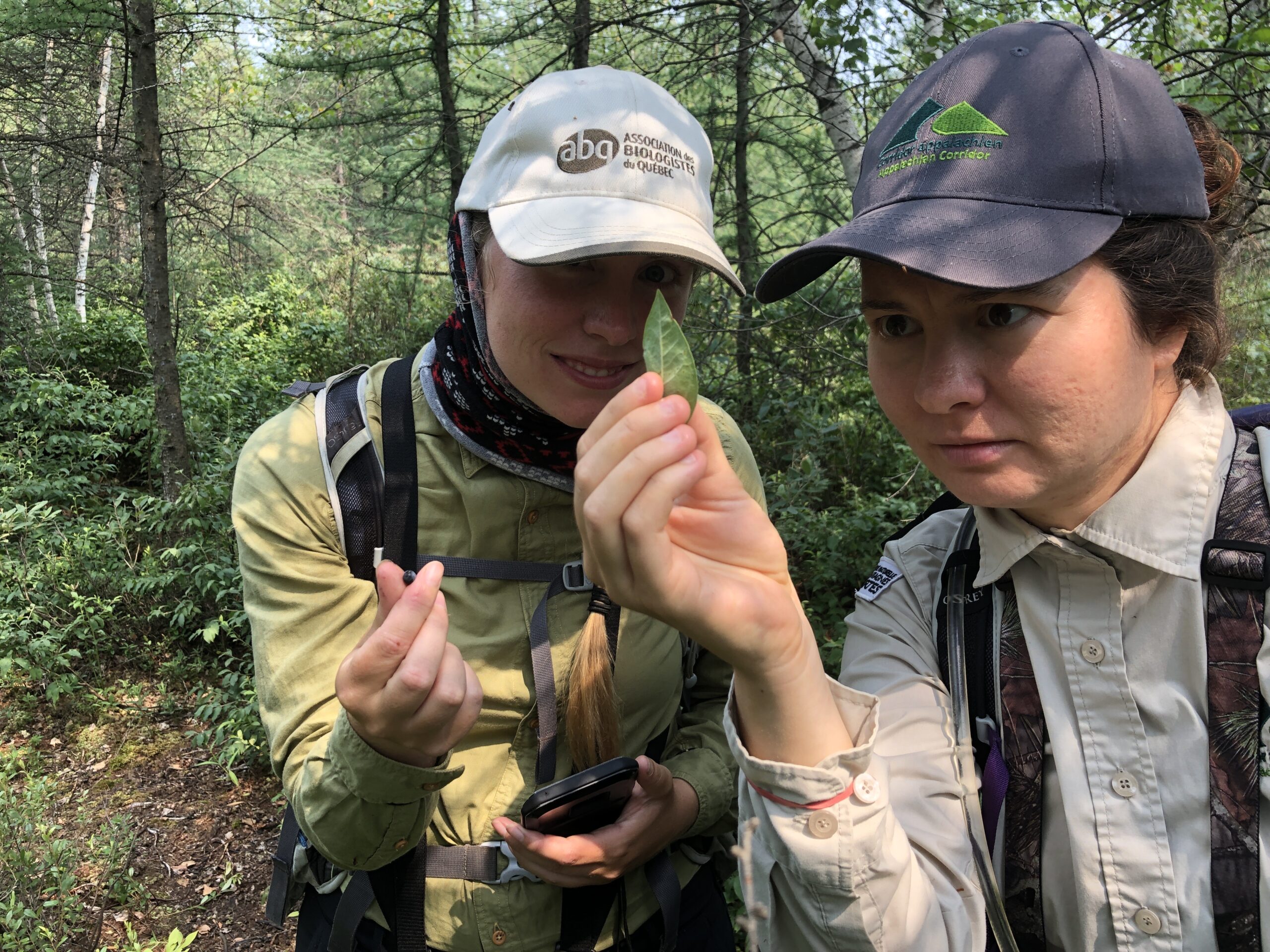 IMG 9526 scaled 1 IMG 9526 scaled 1