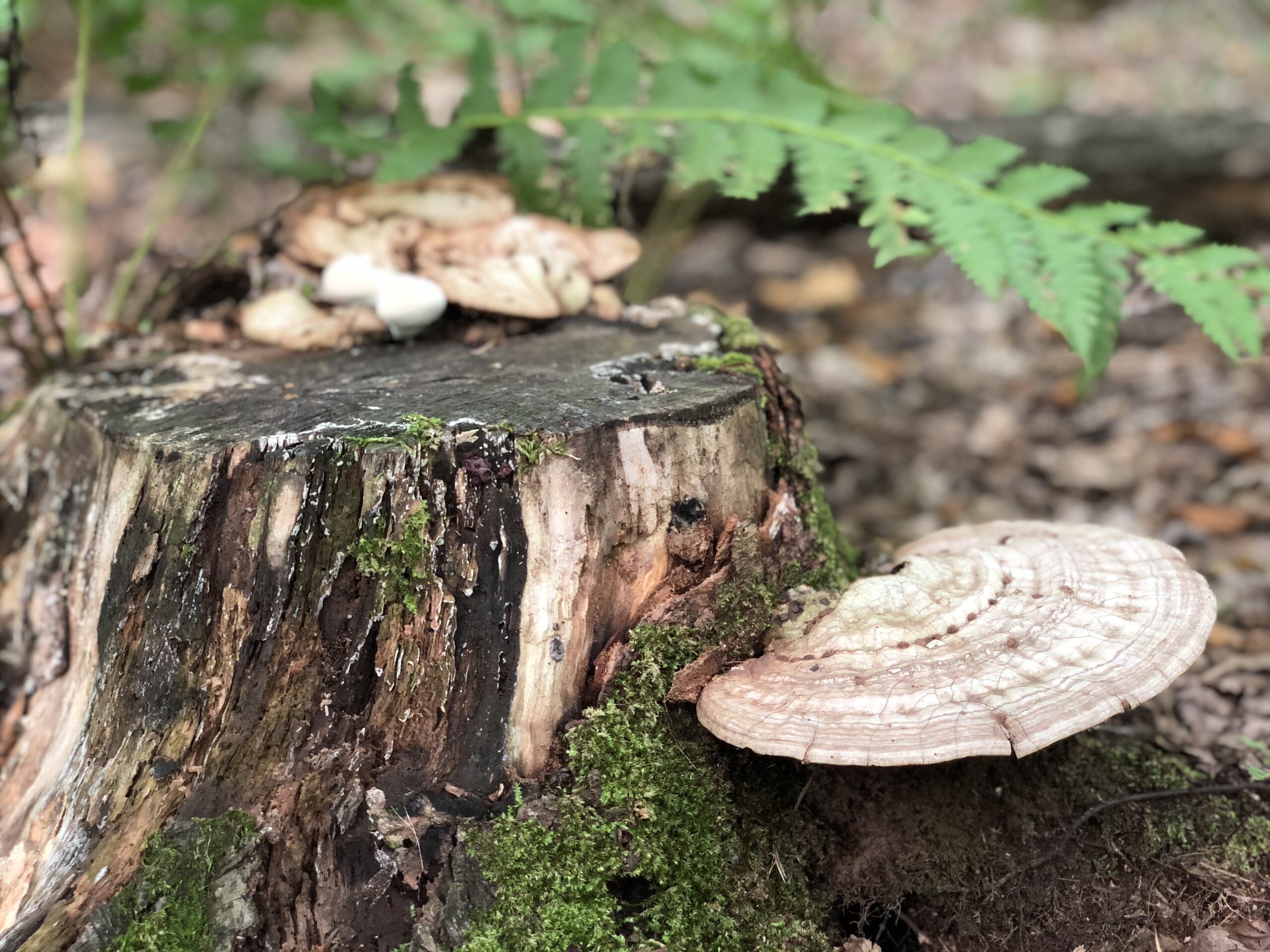 IMG 9547 scaled 1 IMG 9547 scaled 1