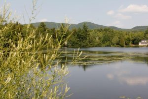 MG 8803 300x200 1 MG 8803 300x200 1