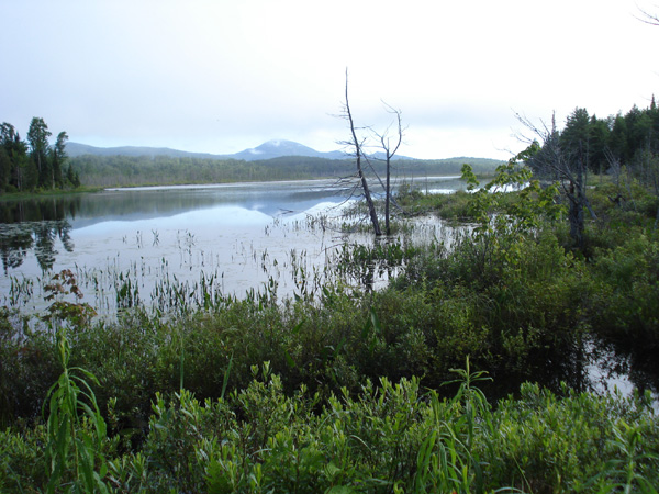 Millington cCorridor appalachien