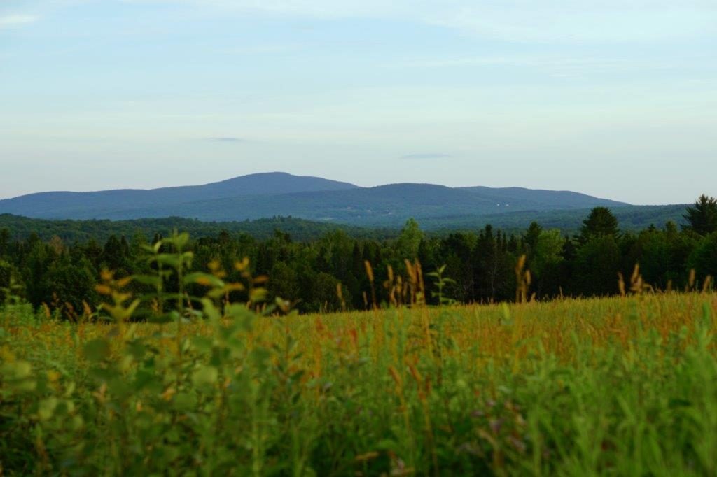 ORG DSC09724 1024x682 1 ORG DSC09724 1024x682 1