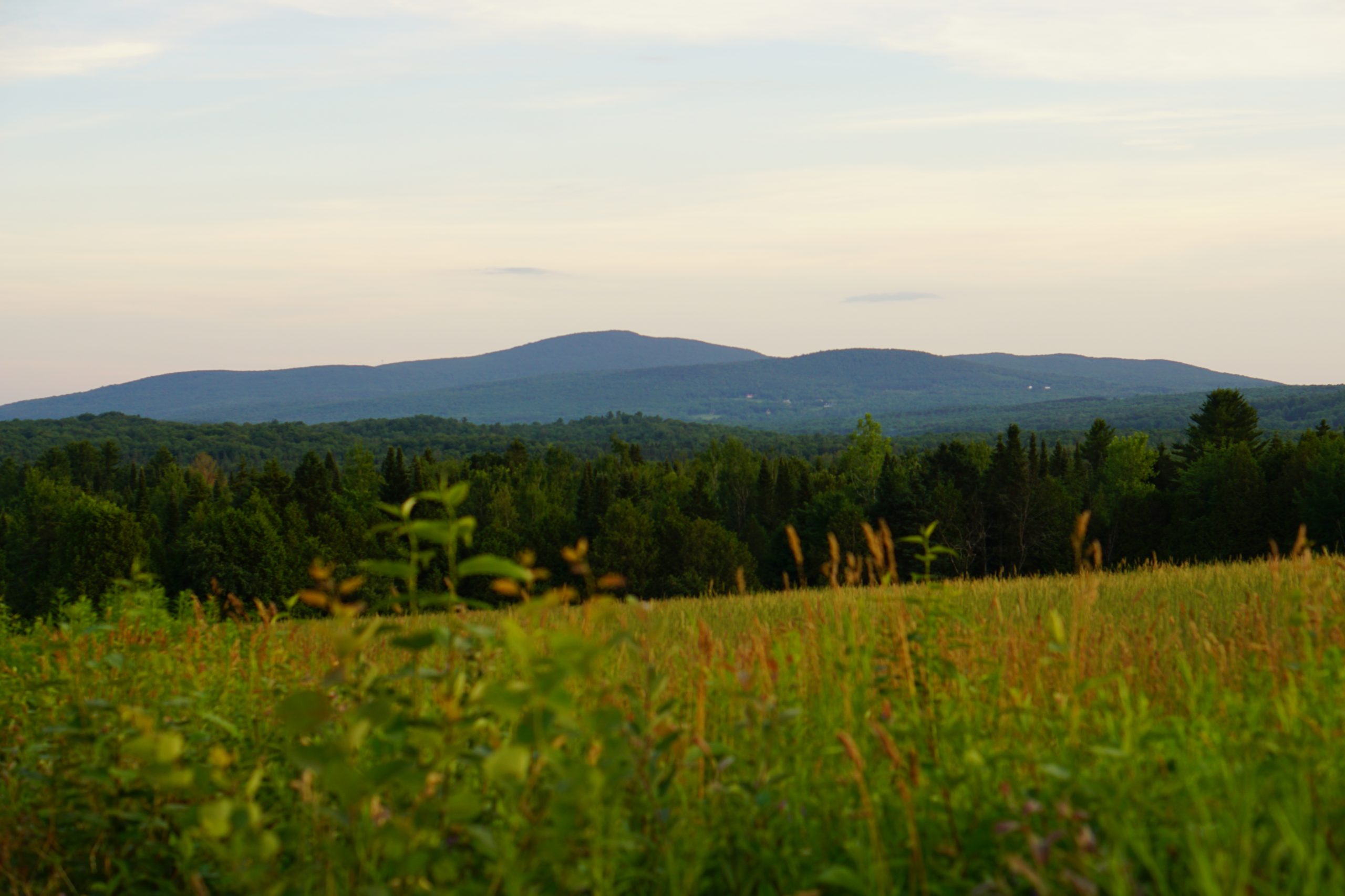 Photo credit Corridor appalachien scaled 1