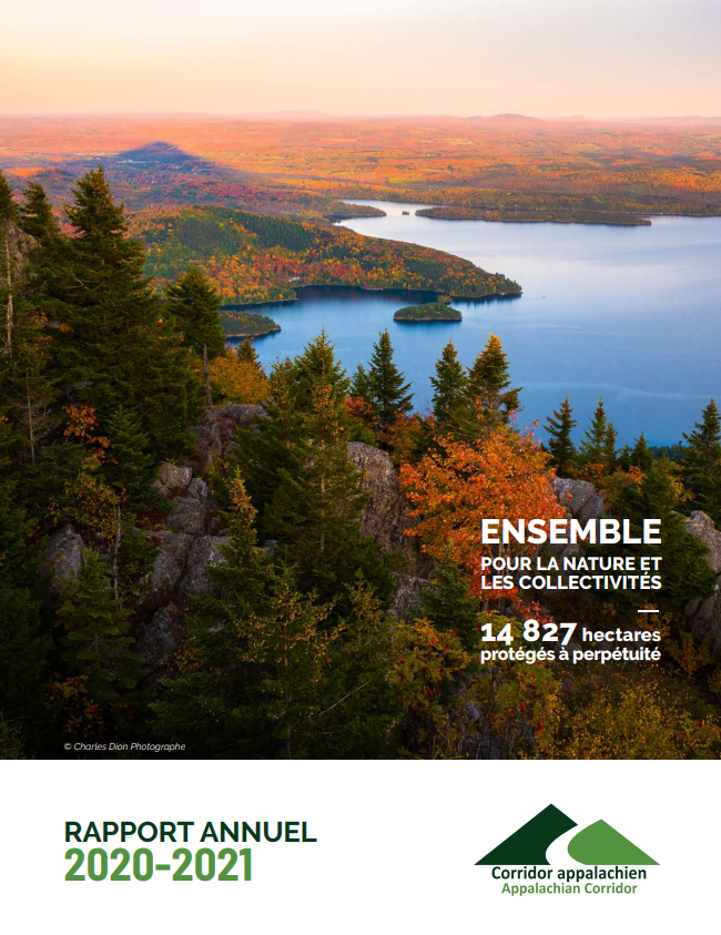 Rapport annuel FR Rapport annuel FR