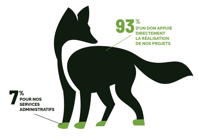 Renard dons Renard dons