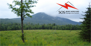 SOS paysage 300x152 1 SOS paysage 300x152 1