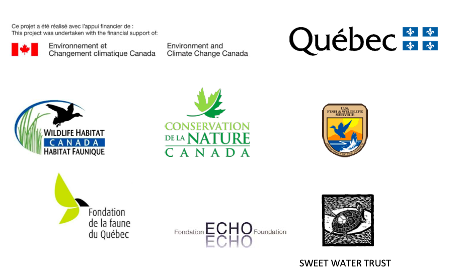 Screen Shot 2020 07 22 at 8.17.48 AM Screen Shot 2020 07 22 at 8.17.48 AM