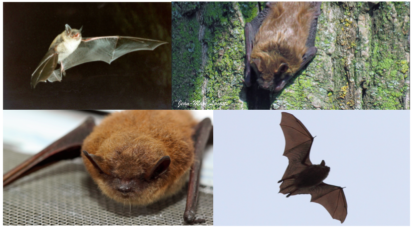 Screen Shot 2020 12 14 at 10.45.09 AM Screen Shot 2020 12 14 at 10.45.09 AM