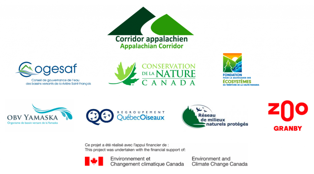 Screen Shot 2021 01 19 at 8.52.07 PM 1024x568 1 Screen Shot 2021 01 19 at 8.52.07 PM 1024x568 1