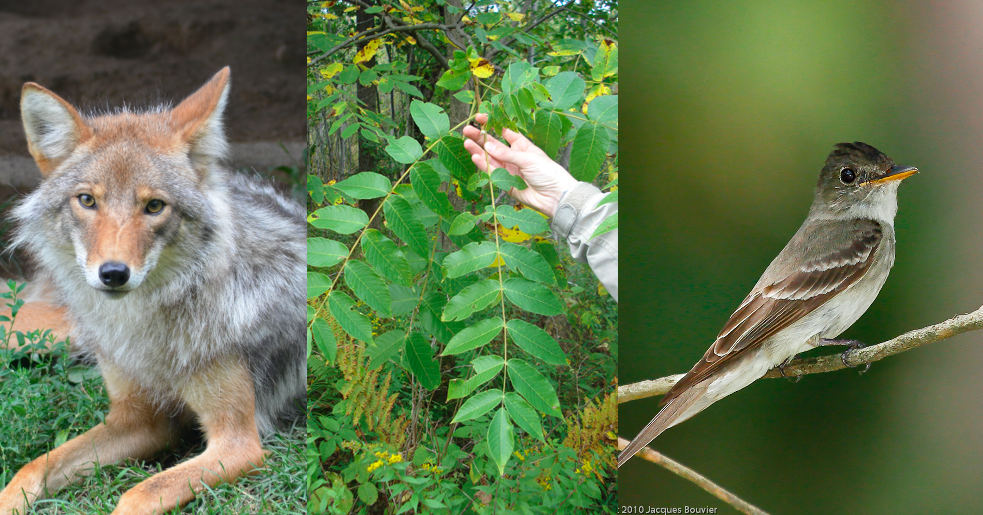 Screen Shot 2021 02 09 at 10.42.45 AM