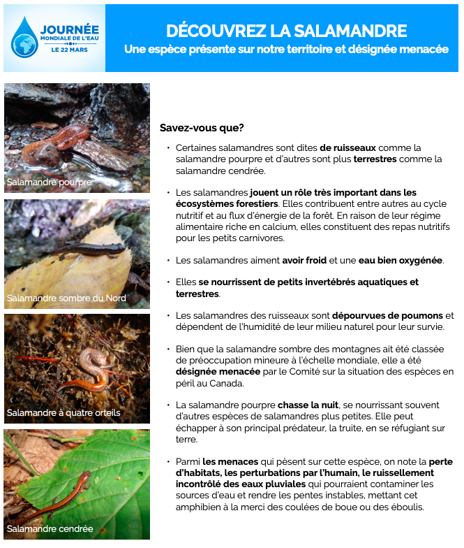 Screen Shot 2021 03 22 at 9.23.15 AM Screen Shot 2021 03 22 at 9.23.15 AM