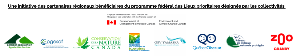 Screen Shot 2021 03 22 at 9.23.37 AM