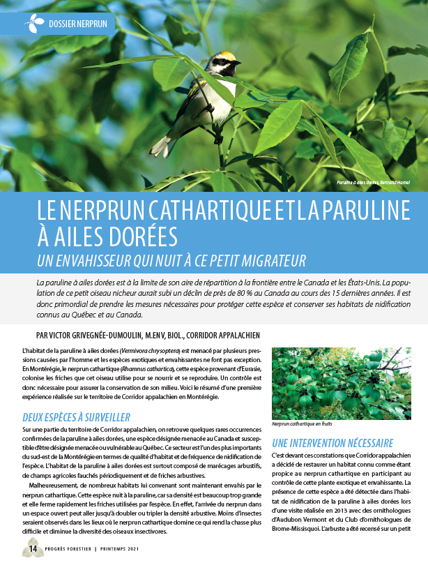 Screen Shot 2021 04 26 at 9.54.48 AM Screen Shot 2021 04 26 at 9.54.48 AM