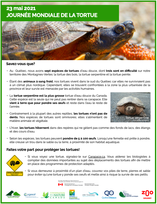 Screen Shot 2021 05 21 at 7.35.24 AM Screen Shot 2021 05 21 at 7.35.24 AM