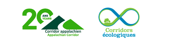 Screen Shot 2022 03 22 at 9.47.50 AM Screen Shot 2022 03 22 at 9.47.50 AM