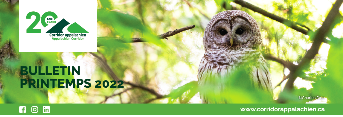 Screen Shot 2022 05 04 at 1.33.01 PM Screen Shot 2022 05 04 at 1.33.01 PM