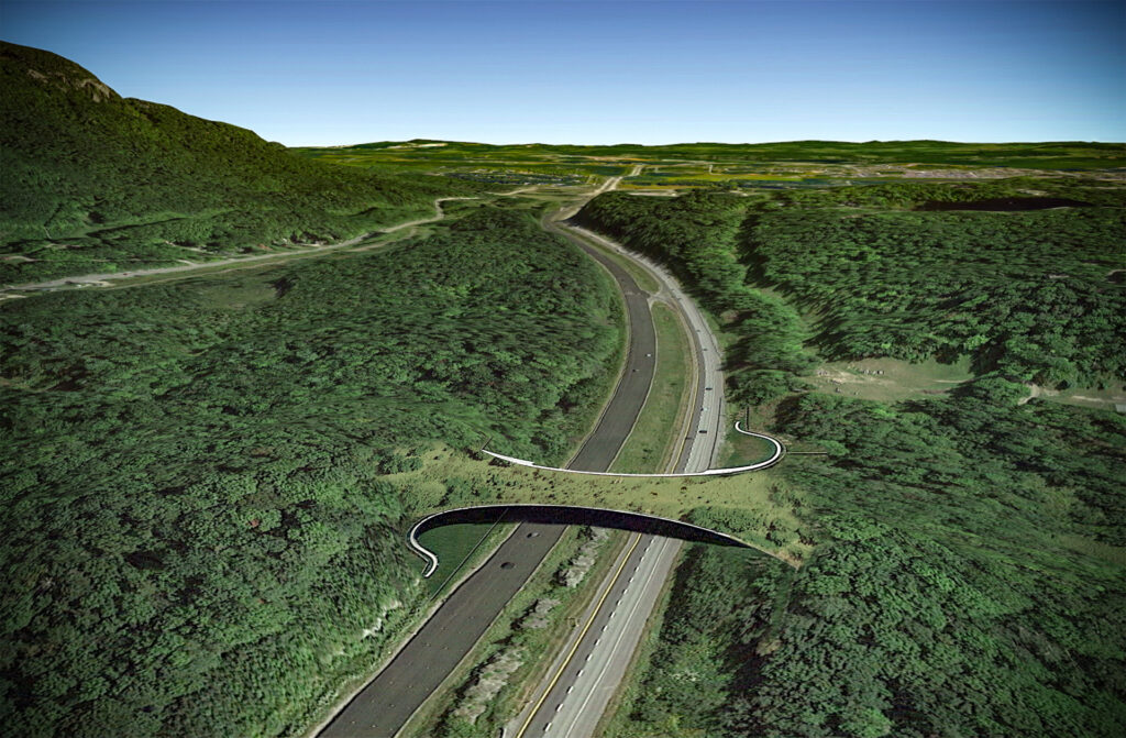 Simulation v2 1024x671 1