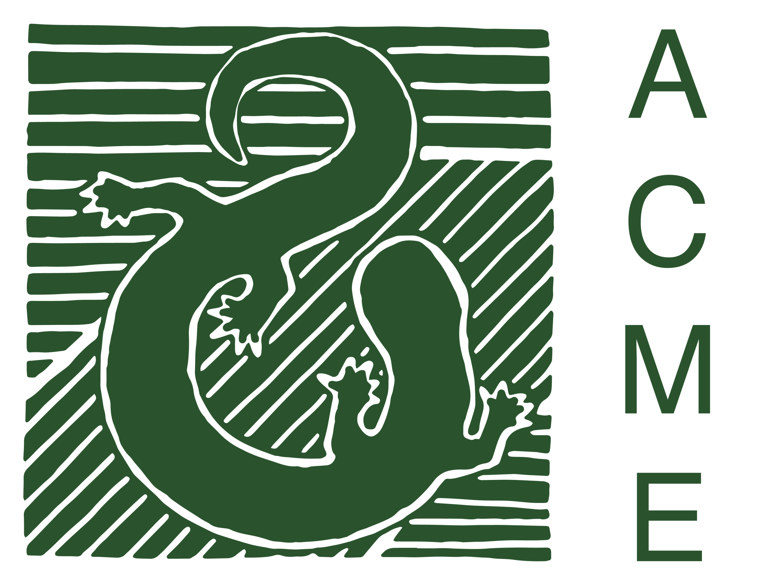 logo clear acme green 1 1 scaled logo clear acme green 1 1 scaled