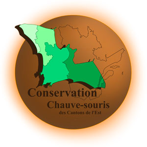logoCCSCE FR Conservation chauve-sourirs Cantons de l'est