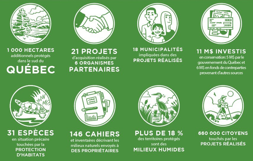 thumbnail PPMN Social media icones seulement