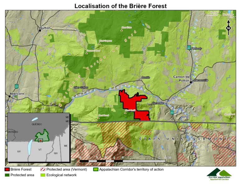 A HISTORIC MILESTONE IN CONSERVATION: THE FORÊT BRIÈRE IS NOW PROTECTED