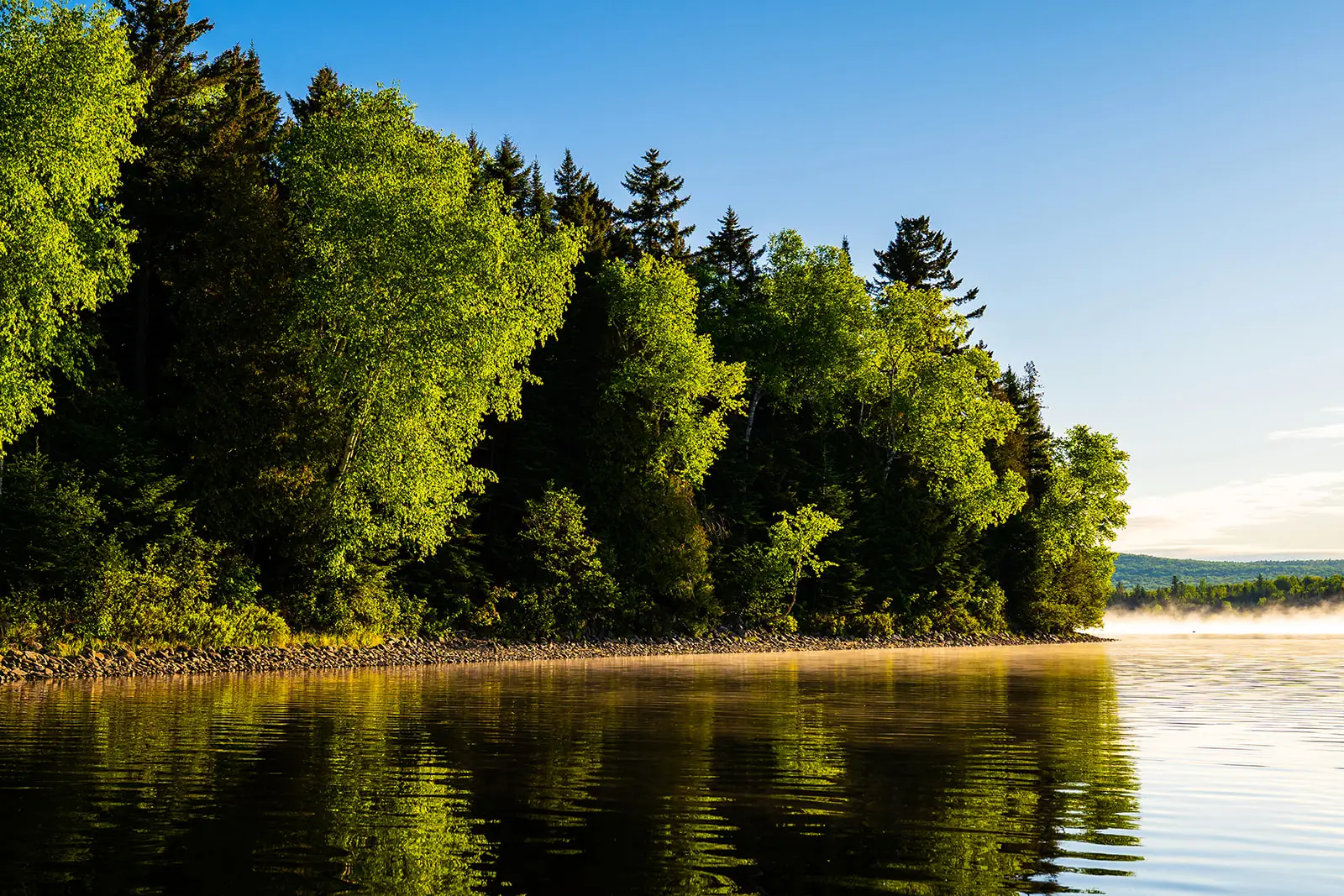 55962c63bccd658b3318660768b9e4e2ec23a4df 55962c63bccd658b3318660768b9e4e2ec23a4df