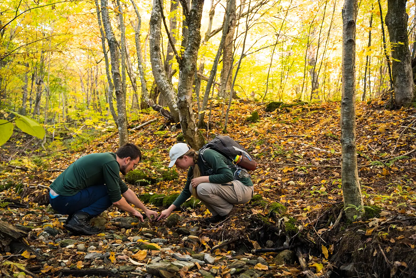 965d4f6bc300609297997d944eb070fc2ed6411c 965d4f6bc300609297997d944eb070fc2ed6411c