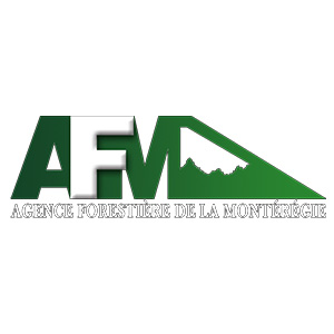 AFM AFM