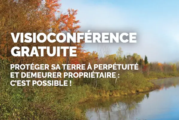 Capture decran 2025 06 19 130848 Capture decran 2025 06 19 130848