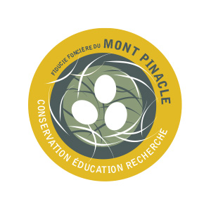 FFMP mont pinacle FFMP mont pinacle