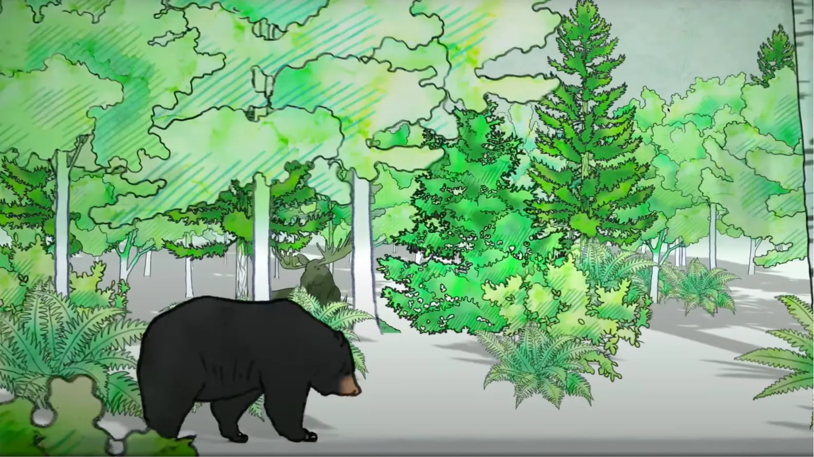 Rectangle 29 Rectangle 29