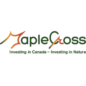 mapple cross mapple cross