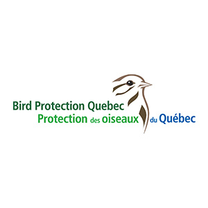 protection protection