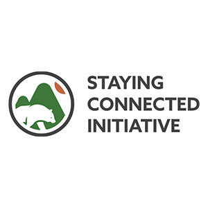 staying connected initiative staying connected initiative