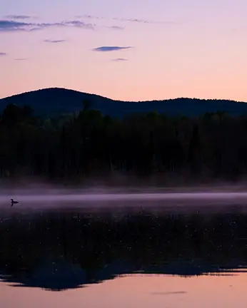 DSC05488 Enhanced NR 1