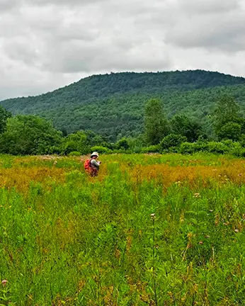 IMG 3197 2 IMG 3197 2