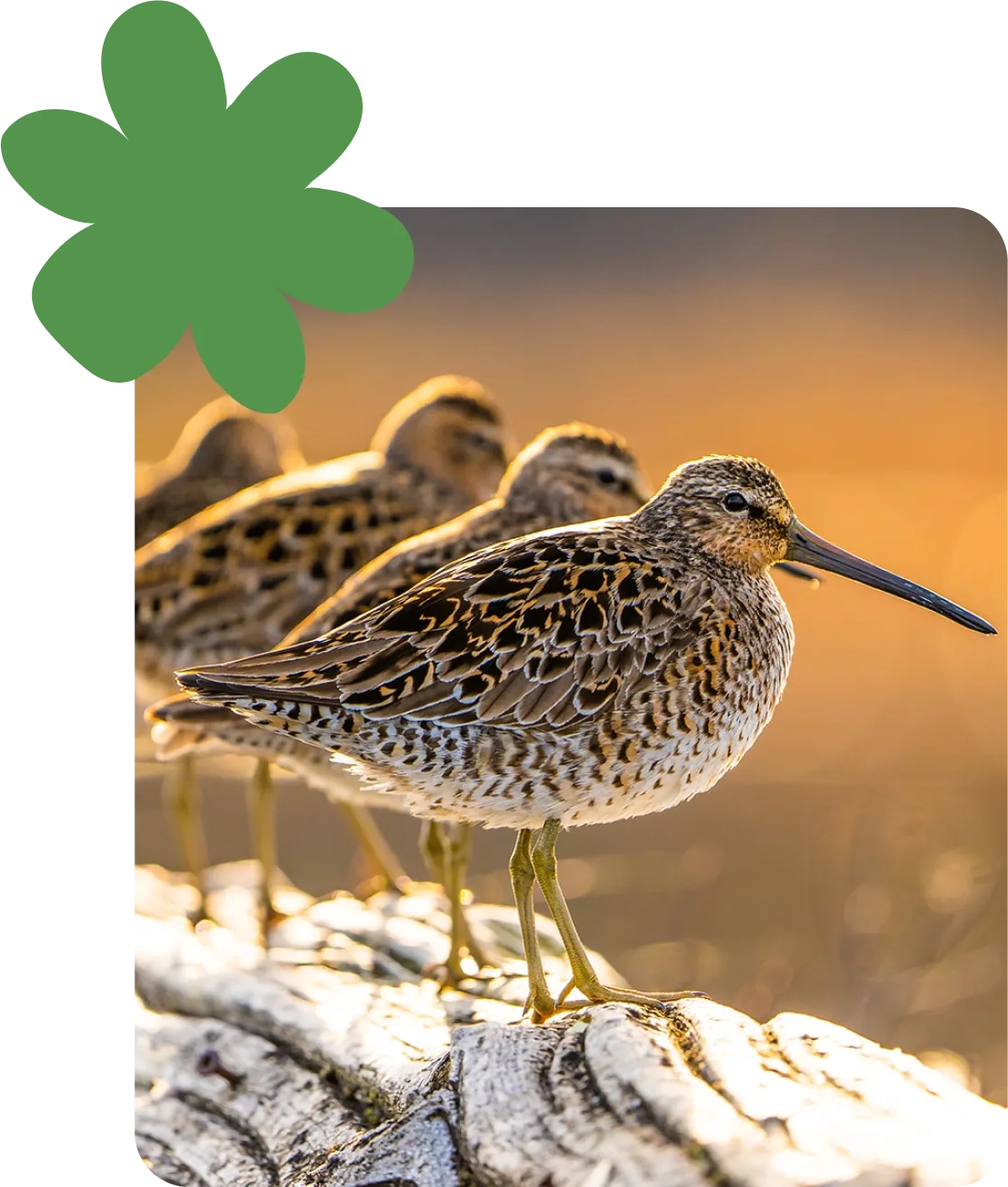 page municipalite page municipalite