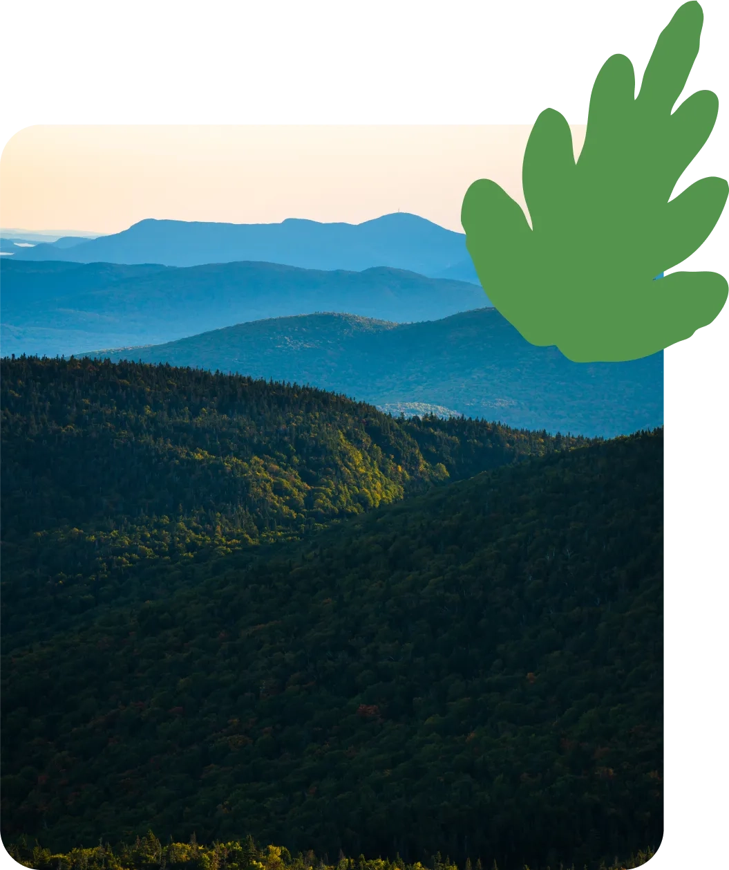 page projet page projet