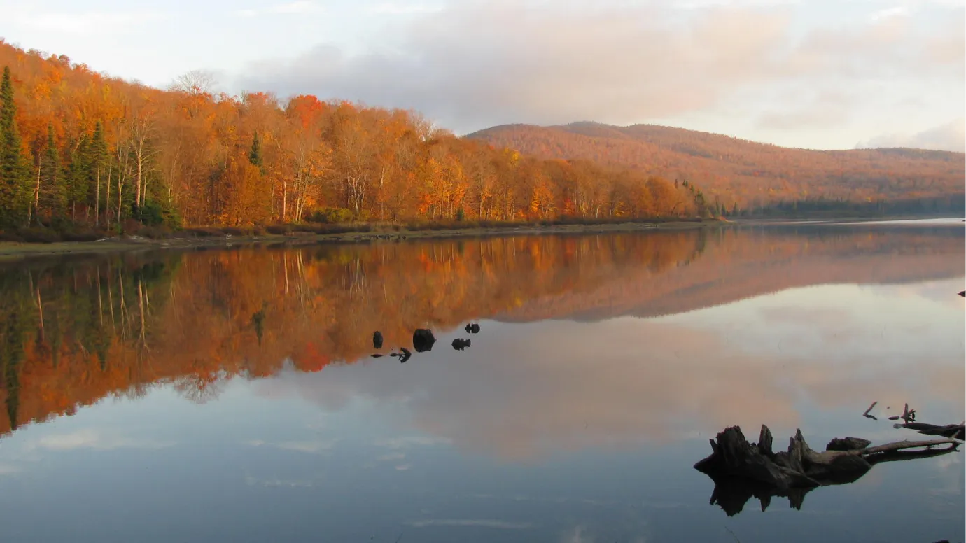 photo histoire photo histoire